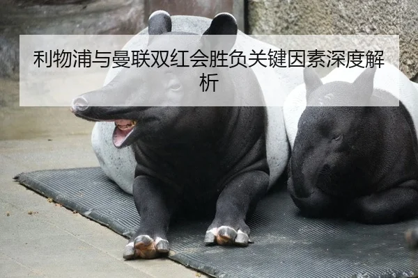利物浦与曼联双红会胜负关键因素深度解析
