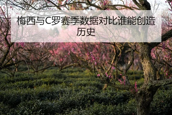 梅西与C罗赛季数据对比谁能创造历史