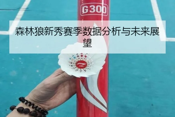 森林狼新秀赛季数据分析与未来展望