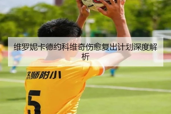 维罗妮卡德约科维奇伤愈复出计划深度解析