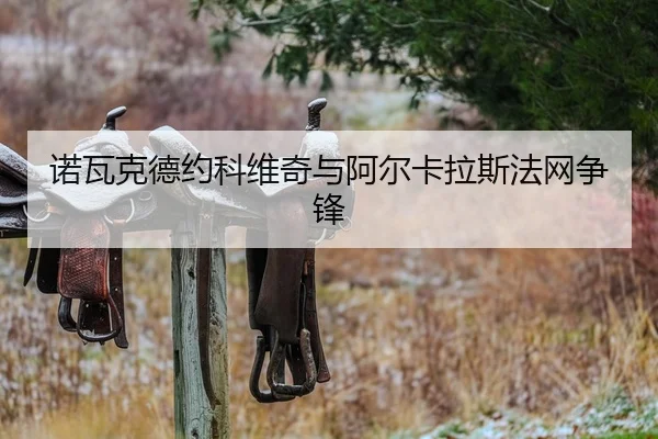 诺瓦克德约科维奇与阿尔卡拉斯法网争锋